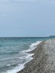 IMG_5621.jpeg