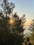 IMG_5702.jpeg