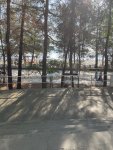 IMG_5721.jpeg