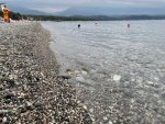 IMG_5727.jpeg