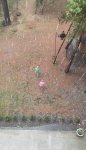 IMG_5769.jpeg