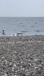 IMG_5777.jpeg
