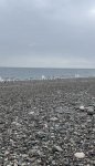 IMG_5775.jpeg