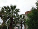 IMG_20250929_171029 (2).jpeg