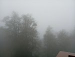 IMG_20250930_170105.jpeg