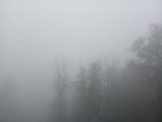 IMG_20250930_170058.jpeg