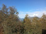 IMG_20251001_092908.jpeg