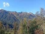 IMG_20251001_092859.jpeg