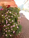 IMG_20251001_110619.jpeg