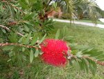 IMG_20251002_164616.jpeg