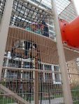 IMG_20251002_171726.jpeg