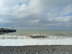 IMG_20251005_105937.jpeg