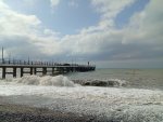 IMG_20251005_110110.jpeg