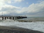 IMG_20251005_110207.jpeg
