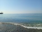 IMG_20251007_103940.jpeg
