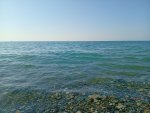 IMG_20251007_114125.jpeg