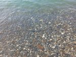 IMG_20251007_114053.jpeg