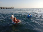 IMG_20251008_164146.jpeg