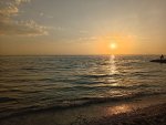 IMG_20251008_172439.jpeg