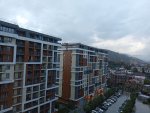 IMG_20251010_075026.jpeg