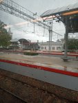 IMG_20251010_105115.jpeg