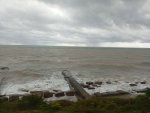IMG_20251010_110256.jpeg