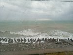 IMG_20251010_110915.jpeg
