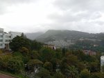 IMG_20251010_124615.jpeg