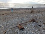 IMG_20251011_160010.jpeg