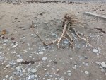 IMG_20251011_160025 (2).jpeg