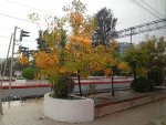 IMG_20251012_131328.jpeg