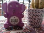 IMG_20251014_170742.jpeg