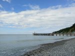 IMG_20251015_105931.jpeg