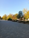 IMG_20251015_092714_885_resize_89.jpg