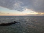 IMG_20251015_171957.jpeg