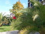 IMG_20251017_112744.jpeg