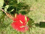 IMG_20251017_113709.jpeg