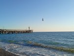 IMG_20251017_163701.jpeg