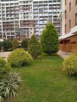 IMG_20251018_172239.jpeg