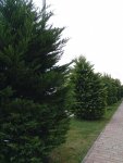 IMG_20251018_172234.jpeg