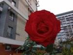 IMG_20251018_172146.jpeg