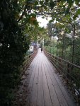IMG_20251018_174024.jpeg