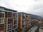 IMG_20251019_082226.jpeg