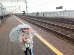 IMG_20251023_111408.jpeg