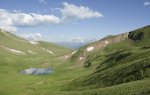 DSC01550s.jpg