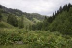 DSC01574s.jpg