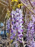 IMG_Pitsunda 36.jpg
