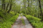 02 DSC00100.jpg