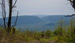 03 DSC00108.jpg