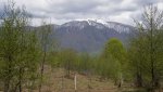 04 DSC00104.jpg